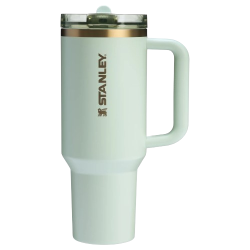 Stanley The Quencher ProTour Flip Straw Tumbler 40 OZ Gilded Celadon