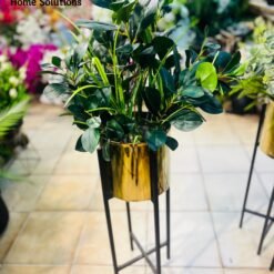 D6372E6C 2A7A 4AB8 BB7C C83EBFE6CBDB - Home Solutions