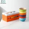 Le Creuset 6 piece rainbow mini bowl set
