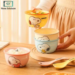 Snoopy ceramic bowl set 4 piece with gift box mixed colors