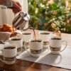 Royal Bone China Mug Set 6pcs 2 Elegant Bone China Mug Set 6pcs with Turquoise and Silver Design