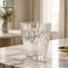 Premium Acrylic Drinking Glass Set of 6 2 Premium acrylic glass set of 6
