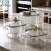 Premium Square Glass Cooking Pots with Lid 1 Premium Square Glass Cooking Pot with Heat Resistant Glass Lid and Gold Knob